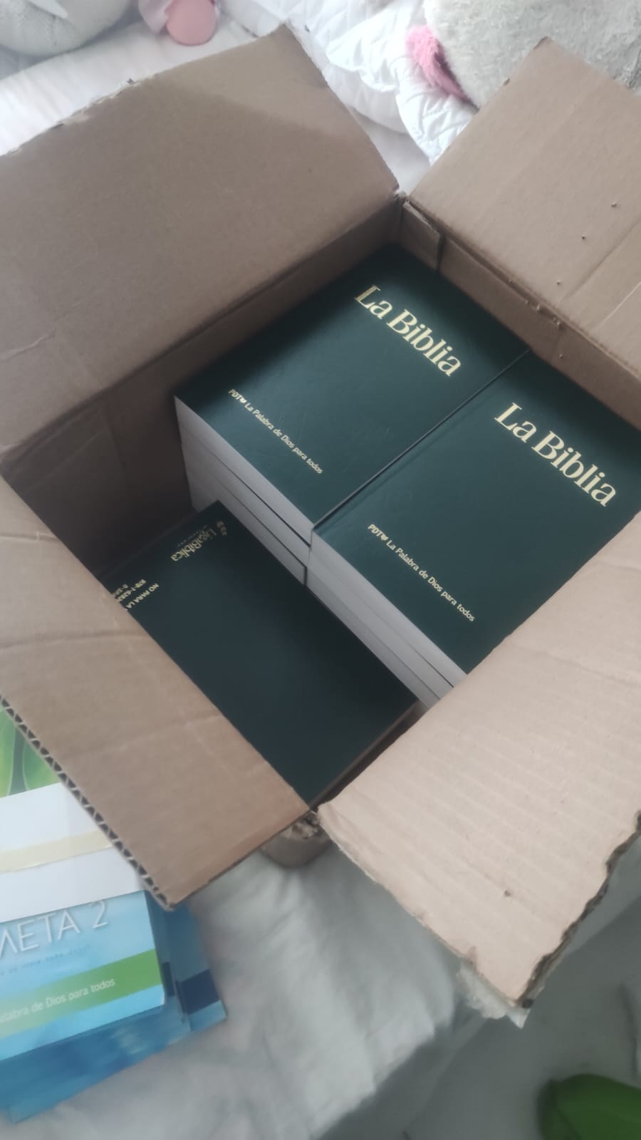 WhatsApp Image 2025-10-20 at 13.18.41