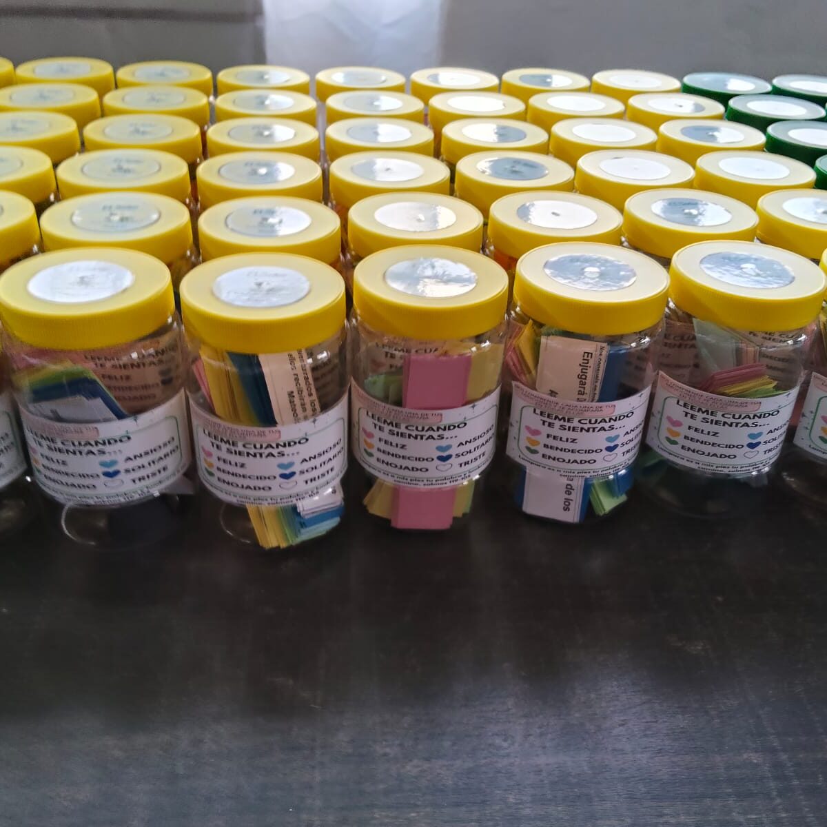 WhatsApp Image 2026-02-09 at 10.52.58 AM